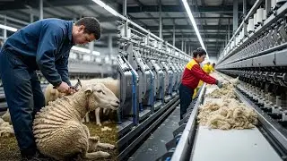 Inside the Cashmere Wool Mill &ndash; How Rare Goat Fibers Become $5,000 Luxury Sweaters (Full)