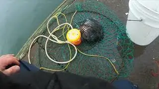 Crabbing Off The Docks End of 2022