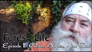 Forest Life Episode 11 CITRUS PLANTING, APPLE TRIMMING & NEW CHAINSAW - Day 18,810