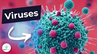 Curious about viruses? Here's an easy explanation! #virus #health