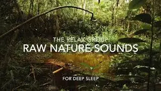 Deep Sleep Raw Nature Sounds