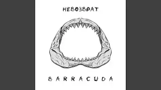 Barracuda