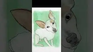 Dog Pet Portrait in Procreate