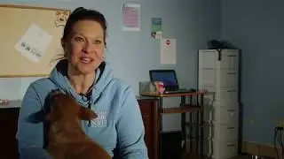 Capital Area Humane Society Mini Documentary