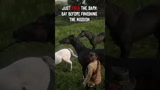 Only Way To Get Turkoman Dark Bay Early!  #rdr2 #reddeadredemption2 #reddeadredemption #arthurmorgan