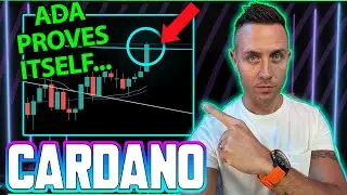 CARDANO WILL BECOME ABSOLUTELY MASSIVE! (Will ETH Division Fuel An ADA Pump?)