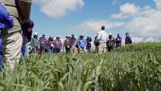 2023 Valley Seeds Field Day