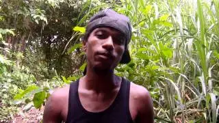 KING DAVID (ville ventures films)
