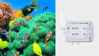 UbiBot  GS2-EL EC & pH value remote monitoring