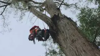 Husqvarna, Next legendary chainsaw
