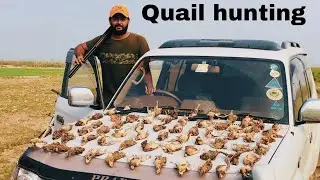 Solo Quail Hunting in Pakistan | by | Malik Sarfraz Khokhar