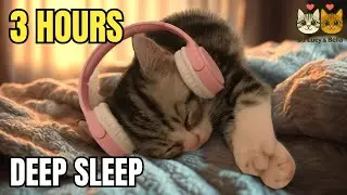 Healing Cat Purring & Water Sounds 💧 Relaxing Sleep Music | DJ Lucy & Bella