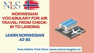 Norwegian Vocabulary for Air Travel From Check in to Landing