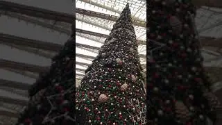 World best Christmas Tree 2020..