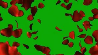 Green Screen Valentines Day Effects Video