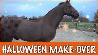 Figuurtjes in Halloween scheren | PaardenpraatTV