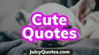 Top 15 Cute Quotes and Sayings 2020 - (Cutest Love Quotes)