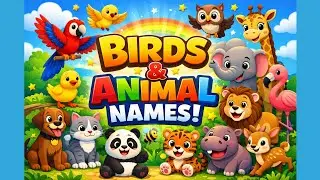 Birds and Animal Names for Kids 🐦🦁| Fun Learning Video | Preschool Learning #english #learning #kids
