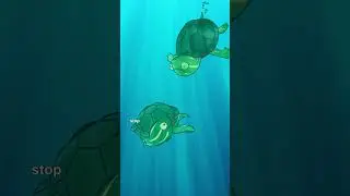 Расписные черепахи способны дышать под водой через клоаку