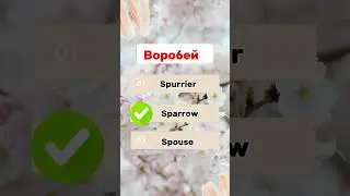 Словарный запас #легкийанглийский #englishspeaking #инглекс #englishvocabulary #shortsenglish