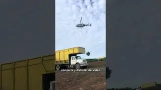 As&iacute; transportando los pinos alas bodegas para despu&eacute;s yevar las alas tiendas