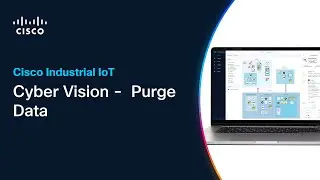 Cyber Vision - How to selectively purge data from Center