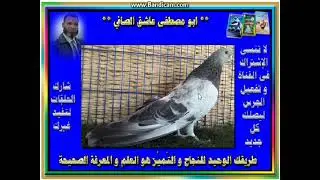 المزرزر الإزازى  --  سلسلة شرح اتياب الصافى