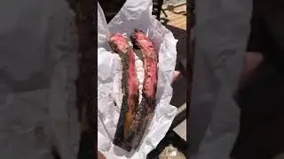 Give a dog a bone, leave a dog alone. | #huskies ribs bones.  | Boss and Leo #shorts