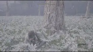 METAL GEAR SOLID &Delta;: SNAKE EATER - Mostly Dead Trophy