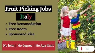 Fruit Picking Jobs in Italy | Farm Worker Jobs in Italy