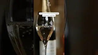 Colmant Cap Classique and Champagne | Wine Farms, South Africa 🍷