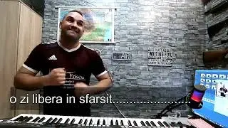 stop stop smechere zana zanelor si prosteala de dexteritate