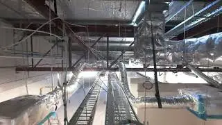 Perth Day Hospital - Project Milestone