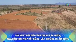 Cần xử lý dứt điểm tình trạng lấn chiếm, mua bán trái phép đất nông, lâm trường ở Lâm Đồng