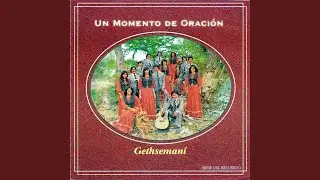 Mi tributo