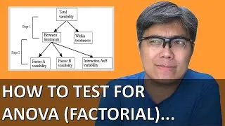How To Test For ANOVA Factorial...