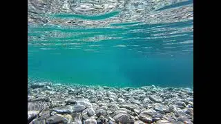 (30min loop) Underwater Nature ASMR #asmr #underwater #whitenoise #calming #relax #water