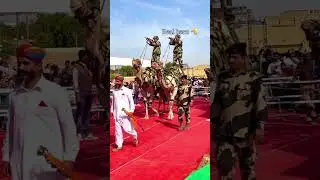 Camel 🐪Regiment BSF. Camel in OurParamilitry.#shorts#camel#indianarmy