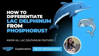 LAC DELPHINUM V/S PHOSPHORUS | HOMEOPATHY MADE EASY|