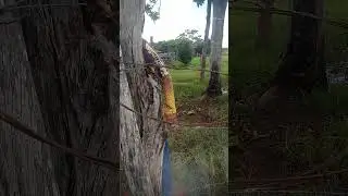 o dia que a gente arrumou a cerca