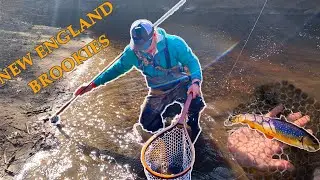 BEAUTIFUL BROOKIES- Fly Fishing for Brook Trout in New Hampshire, Exeter River