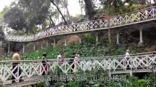 張蓉蓉 落大雨彼一日 ( 台南白荷 嘉義親水公園)