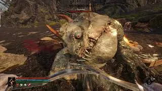 Tainted Grail: The Fall of Avalon - Don't pet Croakmaw