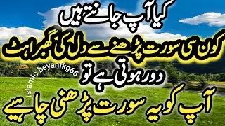 Top Islamic Questions And Answers in Urdu/HindiIslamic Commonsense Paheliyan In UrduGk QuizUrdu Quiz
