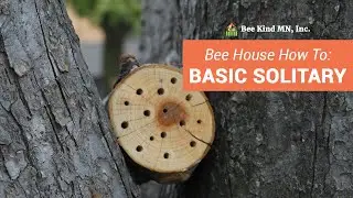 Easy DIY Basic Solitary Bee House | Bee Kind MN, Inc.