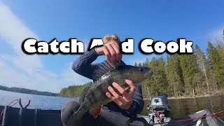 Kalastusta ja Ahvenburgerit &ndash; J&auml;ttiahven! | Catch and Cook