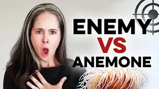 DON'T Get These Words Mixed Up | Confusingly Similar Words