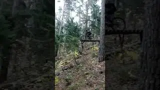 FREERIDE LINE🌲 #downhill #downhillmtb #ridemtb #rideordie #backflip #freeride #freeridemtb #fy #fyp