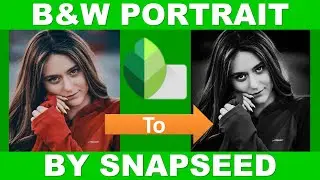 Snapseed: The Dark Tone Portrait Tutorial You Need