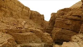 Judaean and Arava Desert, Israel